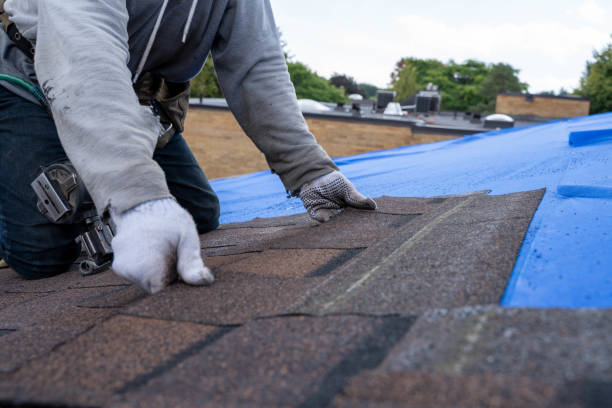 Professional Roofing Contractor in Edneyville, NC